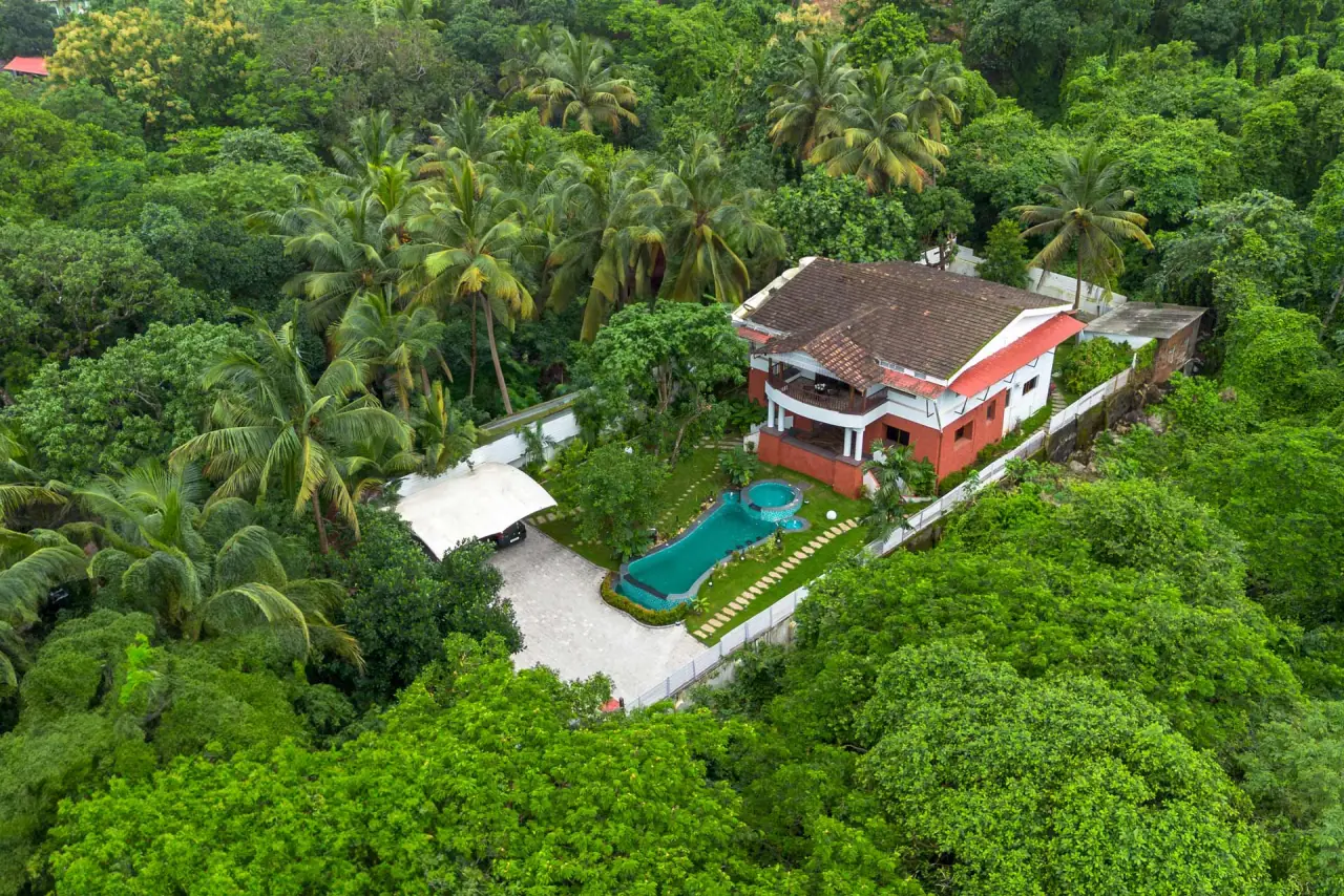 Aerial view of Casa Chalora and its pool among palm trees